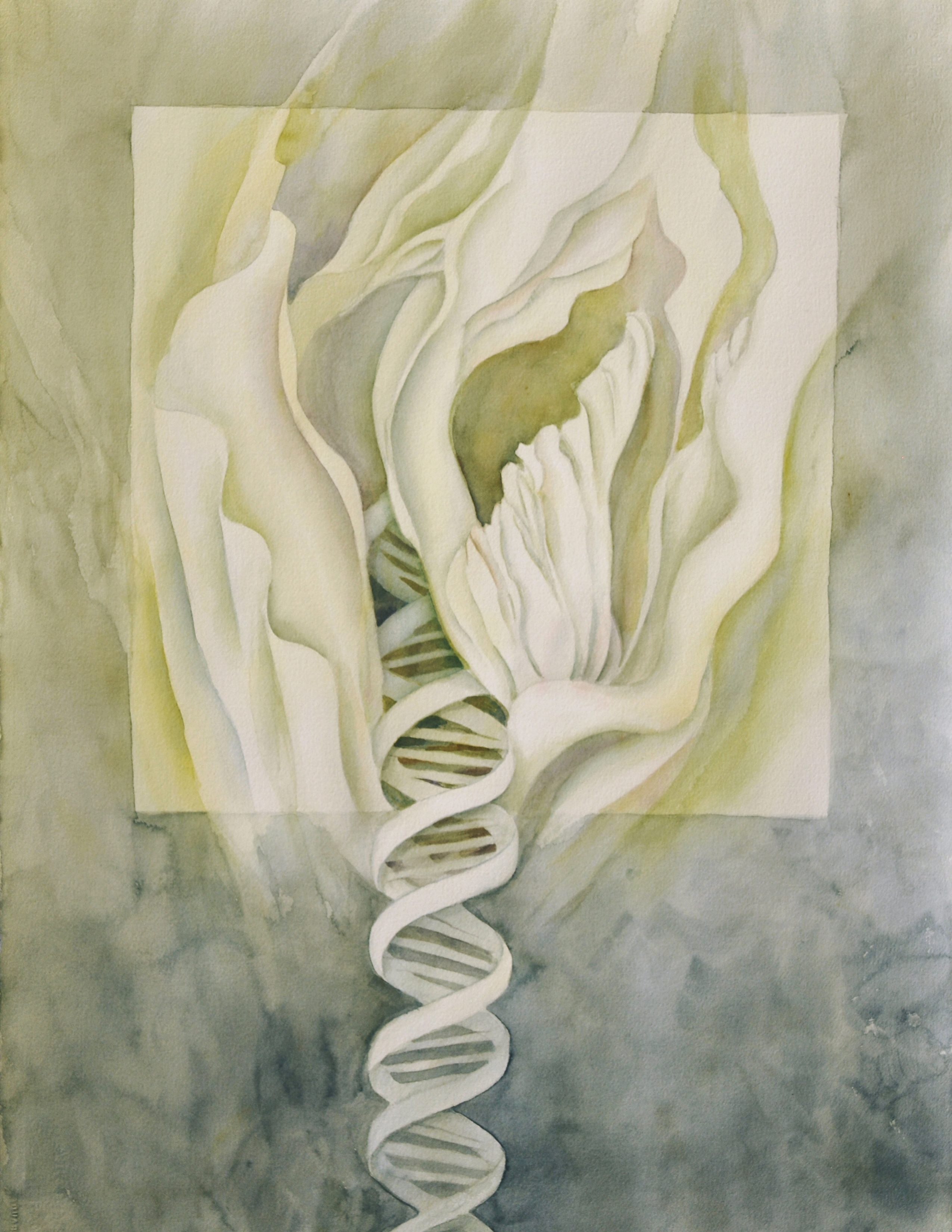 Shuford_Donna_Natures Blueprint_Water Media_002